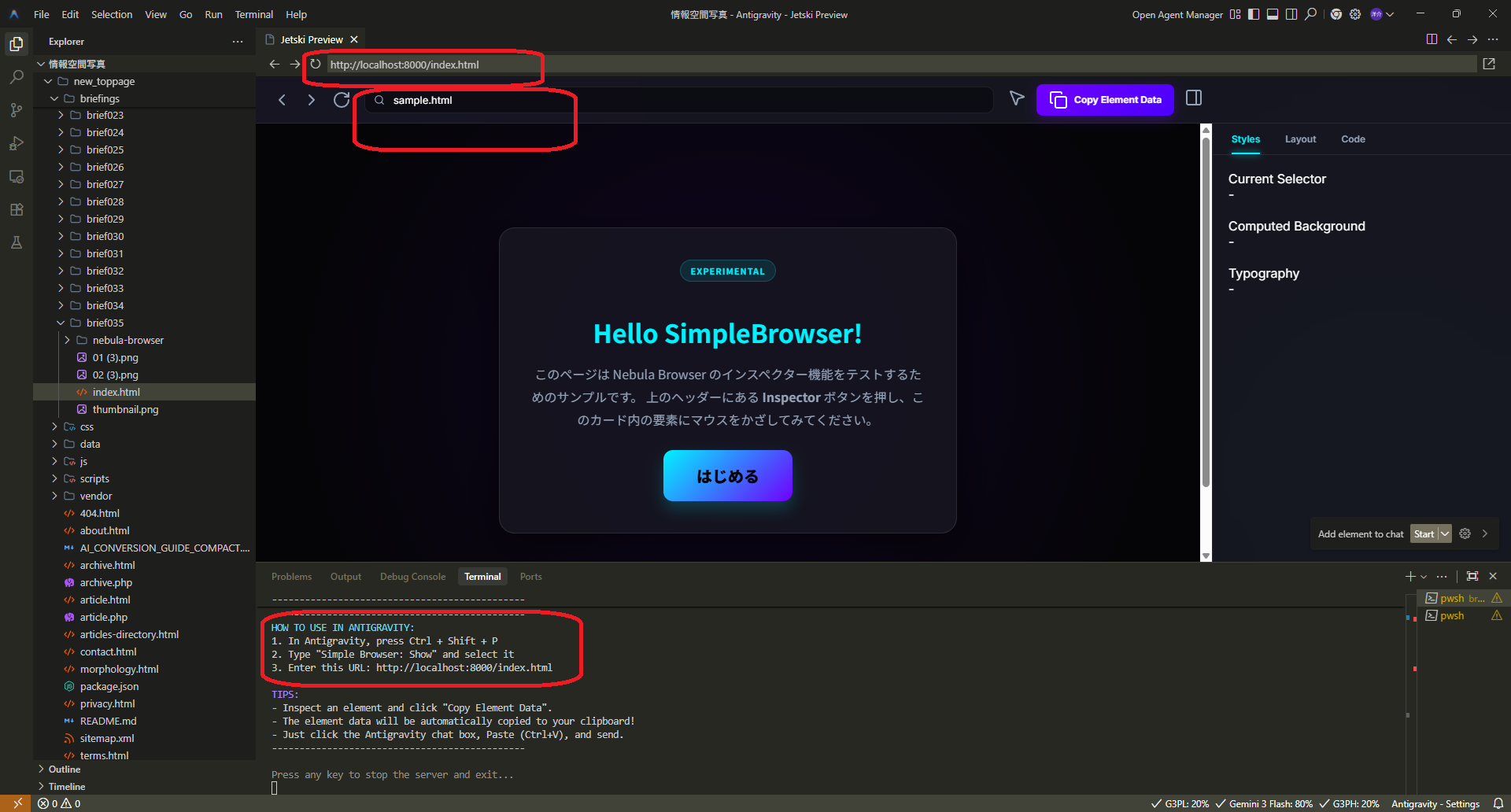 SimpleBrowser で Karaage Browser を表示した状態
